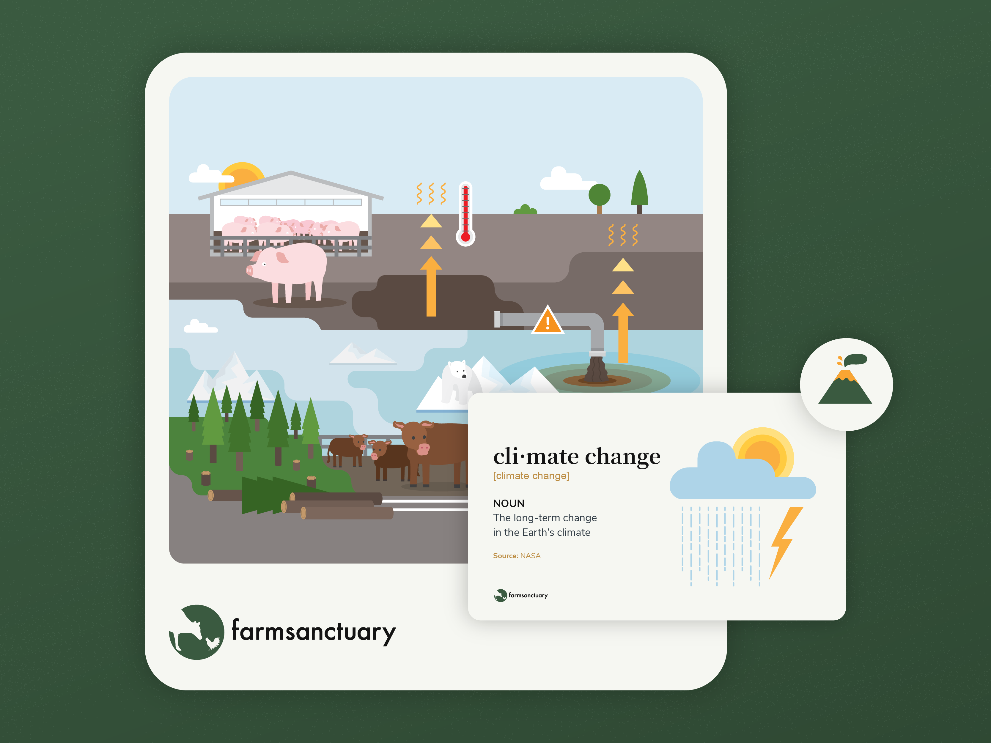 Farm Sanctuary education visuals