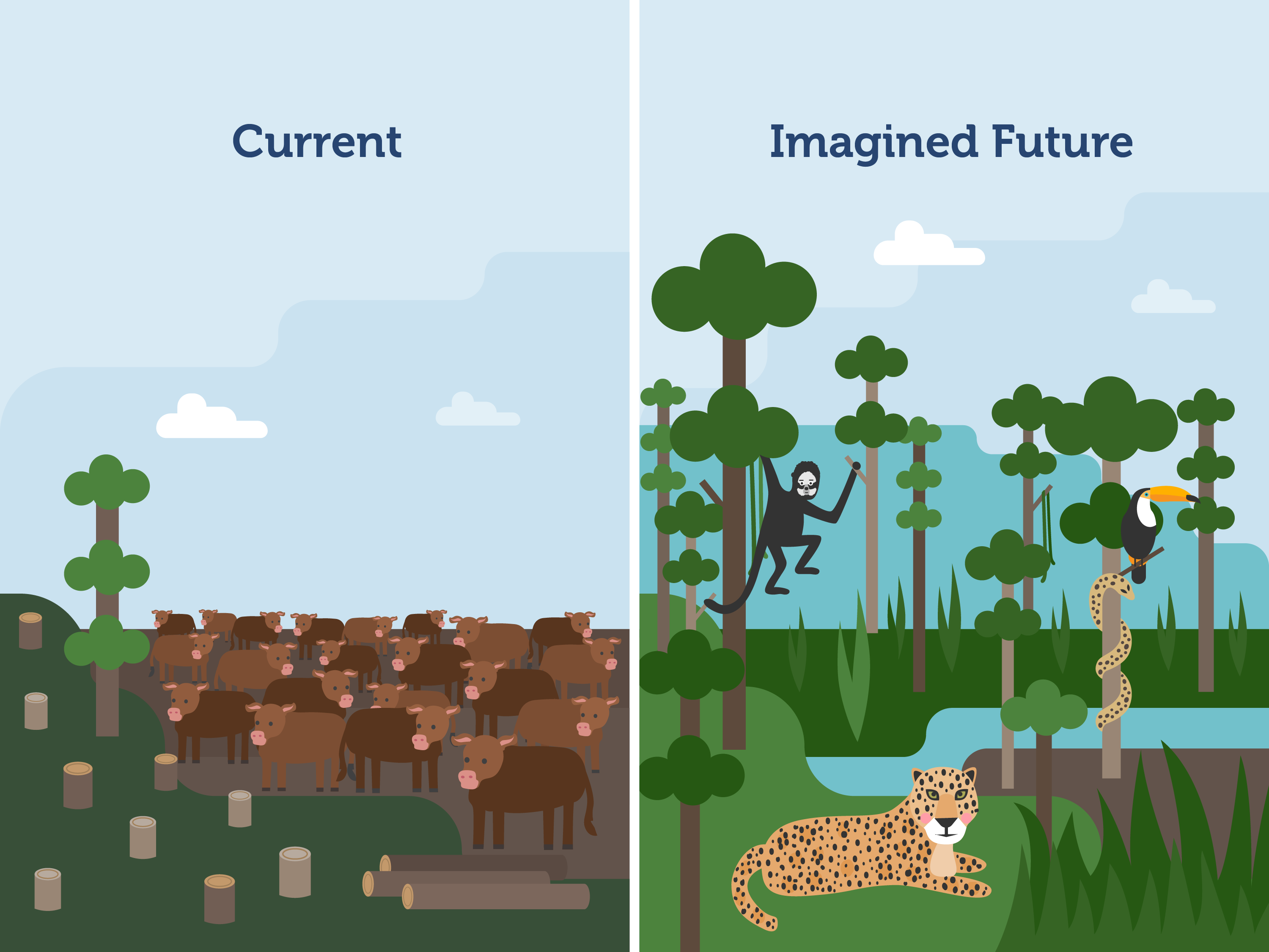 Amazon Rainforest: current state vs imagined future