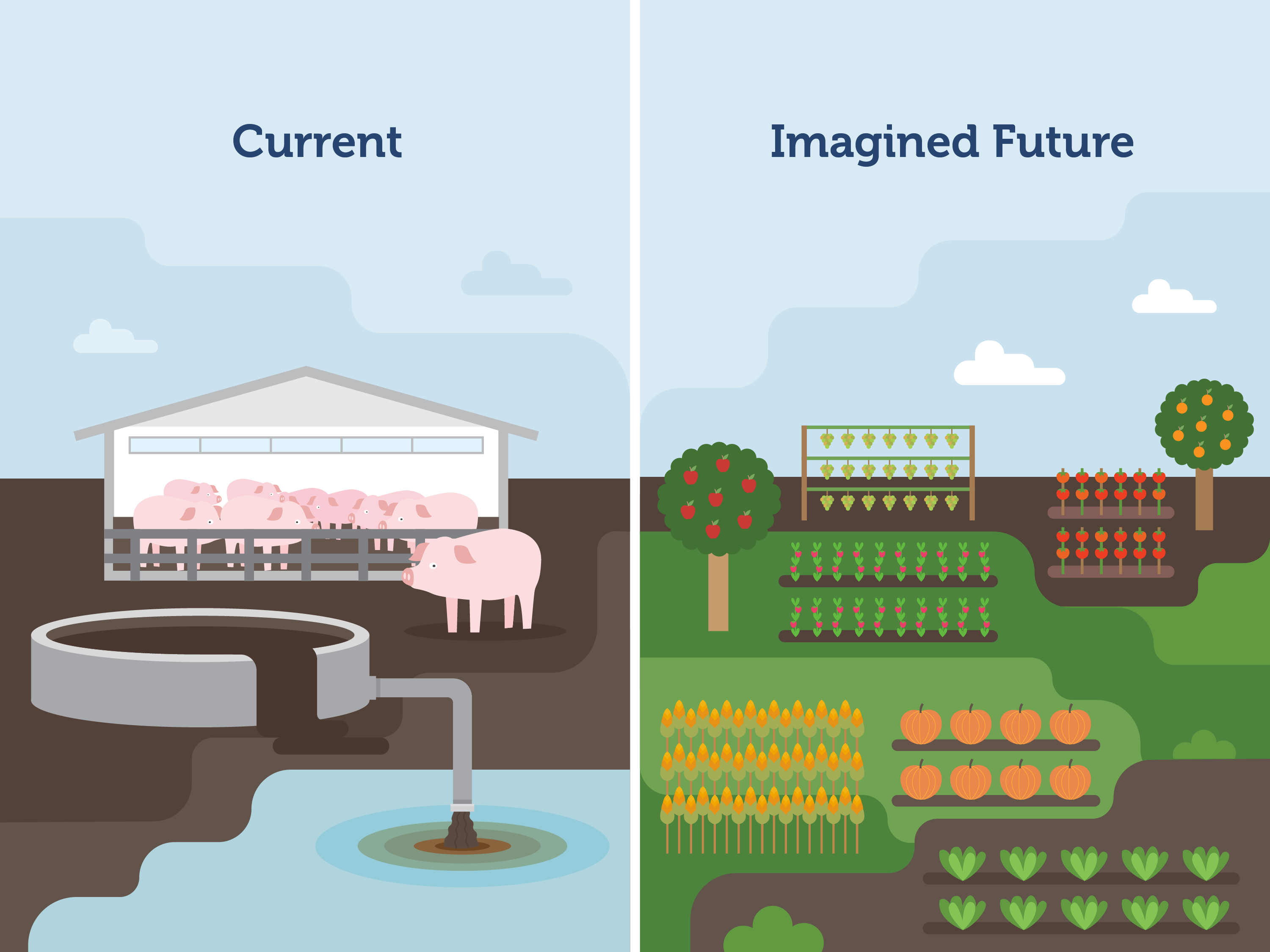 Sustainable future comparison
