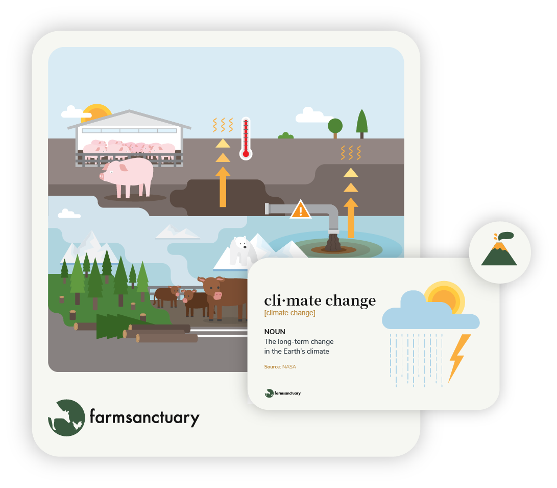 Farm Sanctuary Humane Education visual system overview