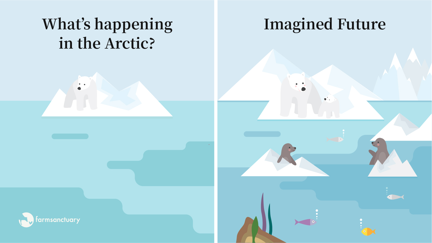 Arctic: current state vs imagined future