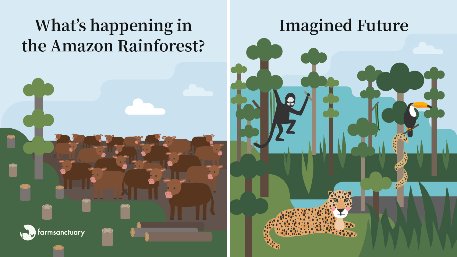 Amazon Rainforest: current state vs imagined future