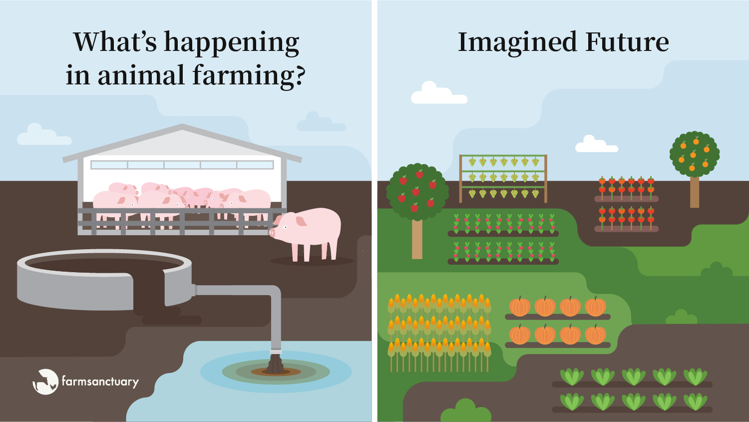 Sustainable future comparison
